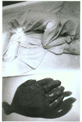 human resourses8